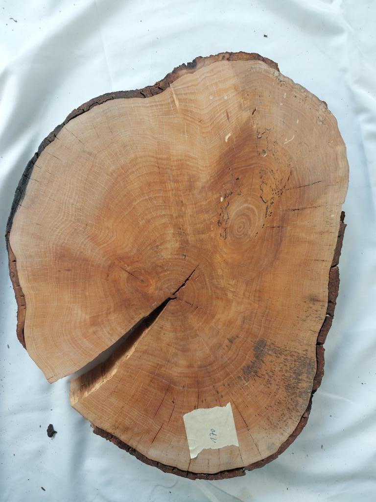 Elsbeere, Baumscheibe (170) Schneidebrett für hochwertige Messer Damast Beistelltisch Baumkante Rinde Masssivholz Epoxy Epoxid Projekt Rarität