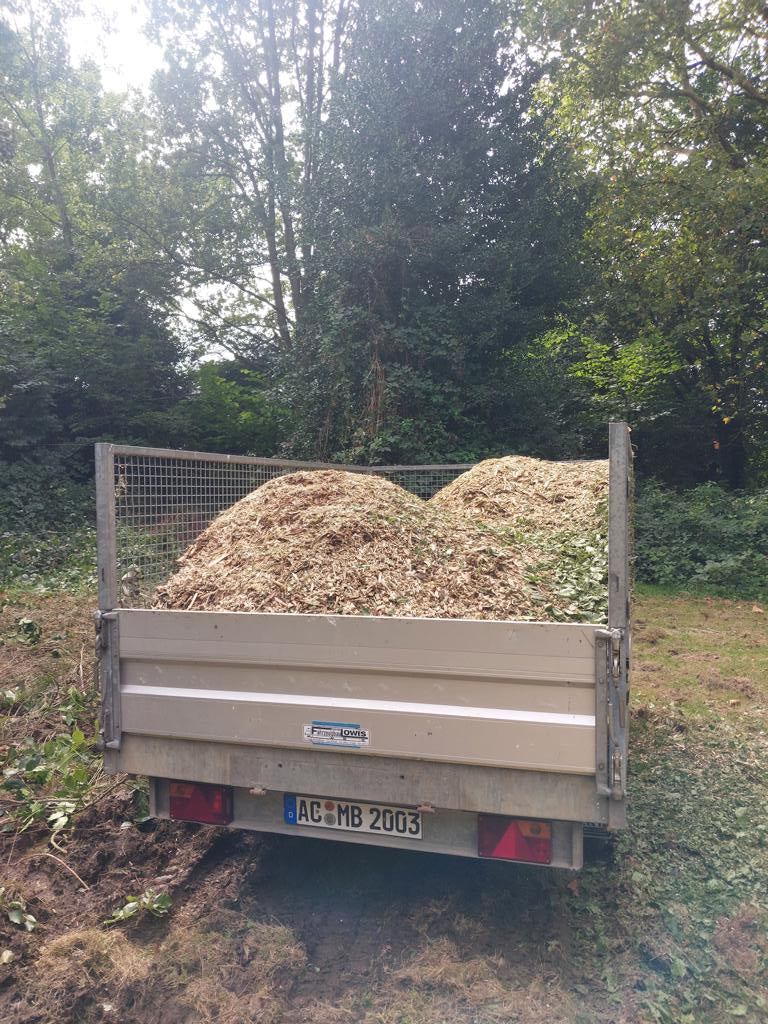 Hackschnitzel – regionale Alternative zu Rindenmulch 🔥