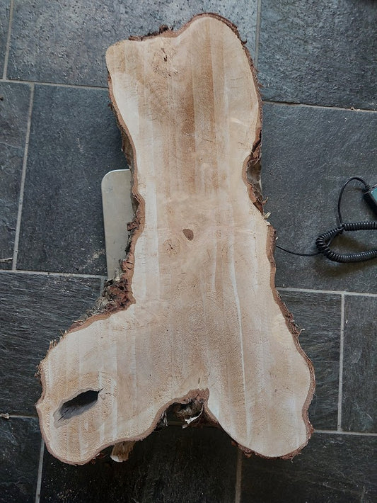 Baumscheibe Birke, Exemplar 298