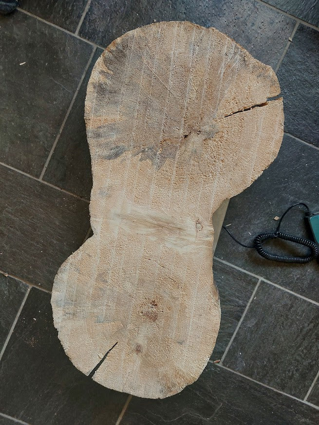 Baumscheibe Pappel, Exemplar 277