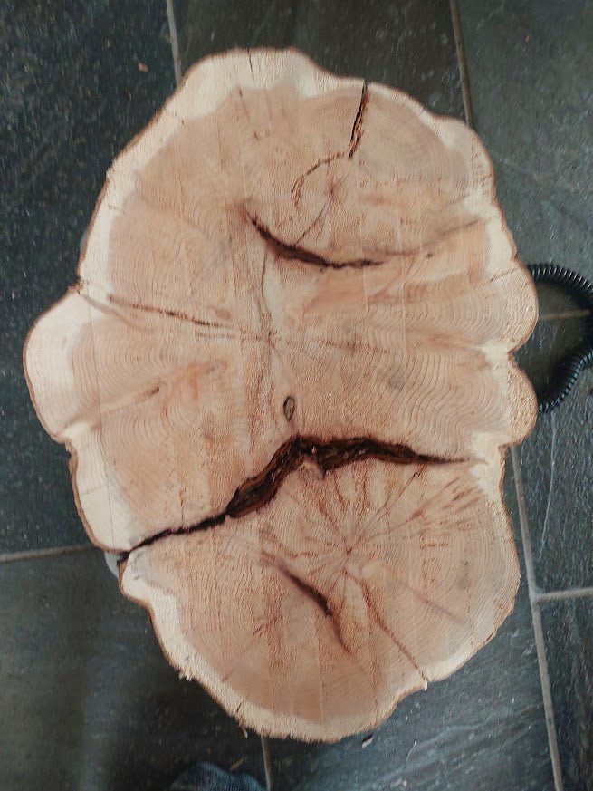 Baumscheibe Eibe, Exemplar 283