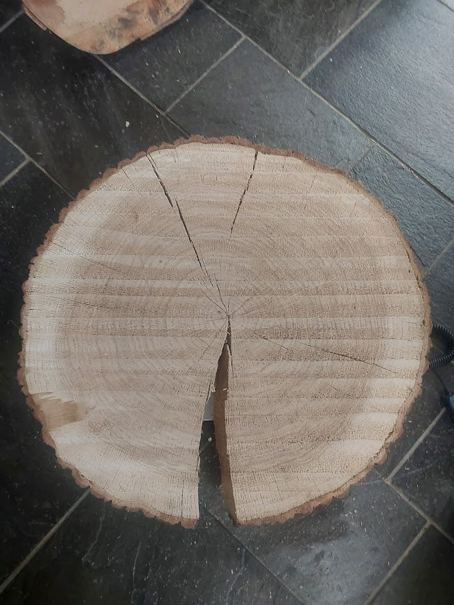 Baumscheibe Eiche, Exemplar 274