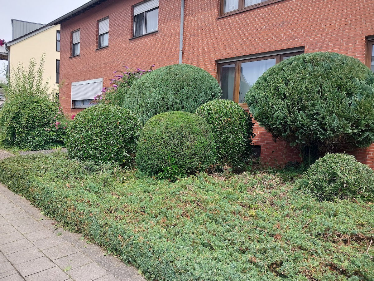 Garden maintenance