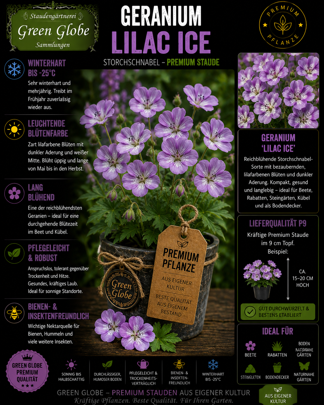 Geranium 'Lilac Ice' – Rarität | Storchschnabel | Zart lila Blüten | Winterhart | Bienenfreundlich | Premium P9