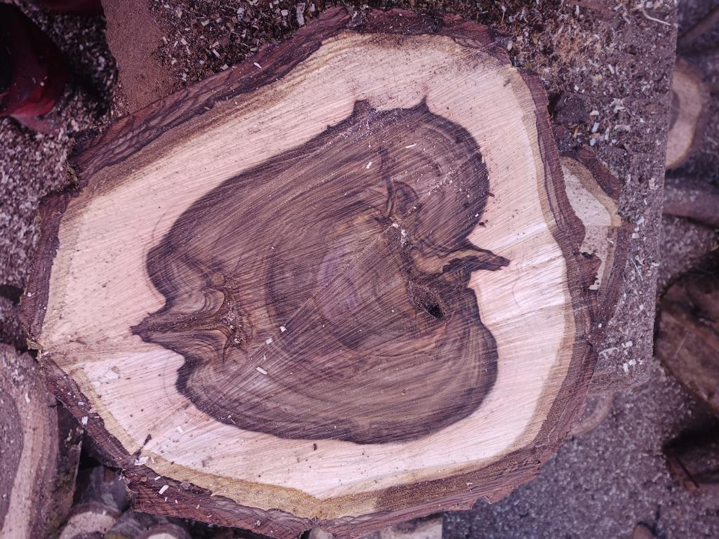 Rodajas y tablones de madera