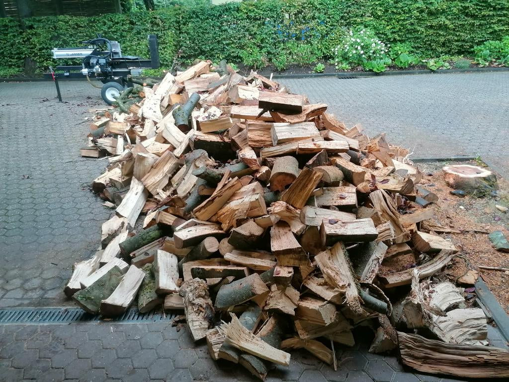 Frisches Brennholz Buche, Eiche, Esche, Birke usw. – regional & nachhaltig jetzt vorbestellen! 🔥