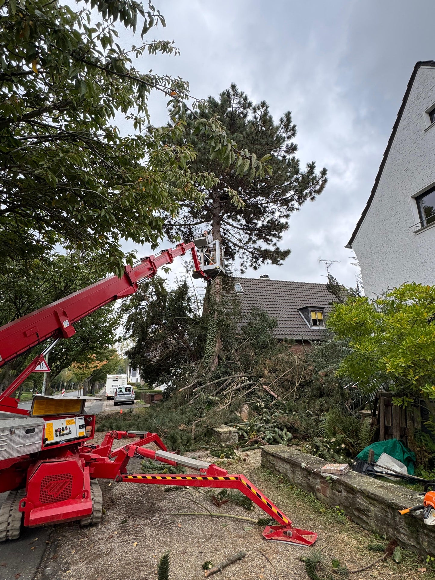 Baumfällung Würselen