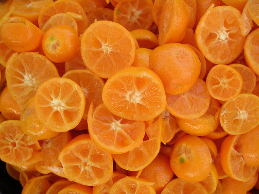 Calamondinorange Citrus mitis +100 cm