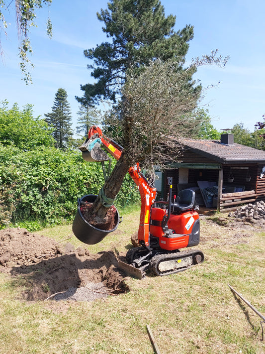 Gartengestaltung