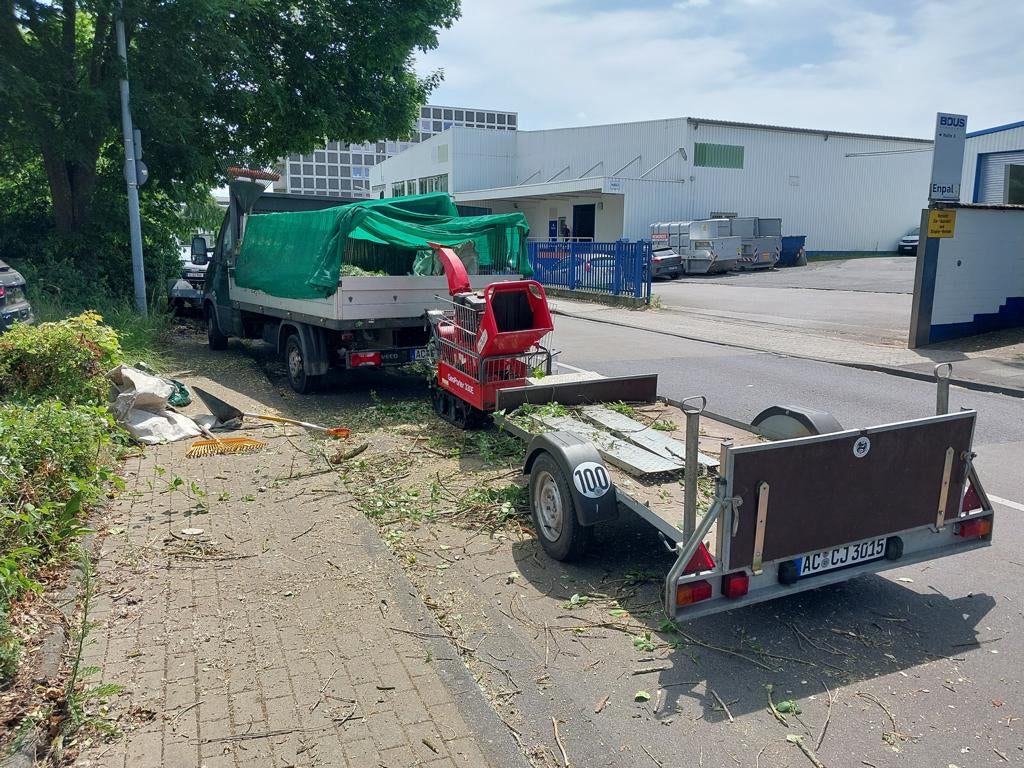 Baumfällung
