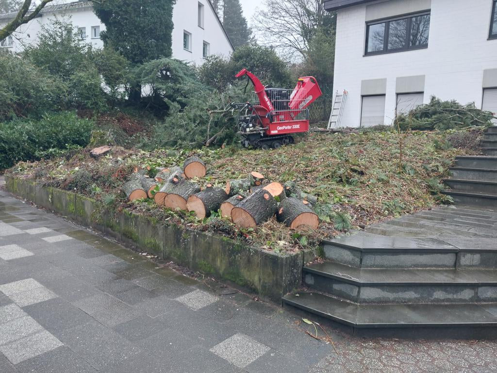 Baumfällung