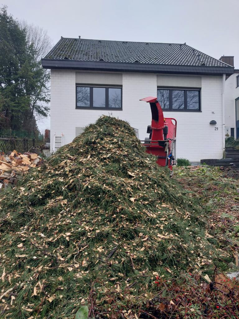 Baumfällung