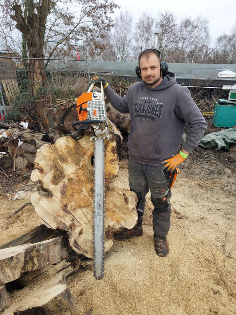 Baumscheiben und Bohlen