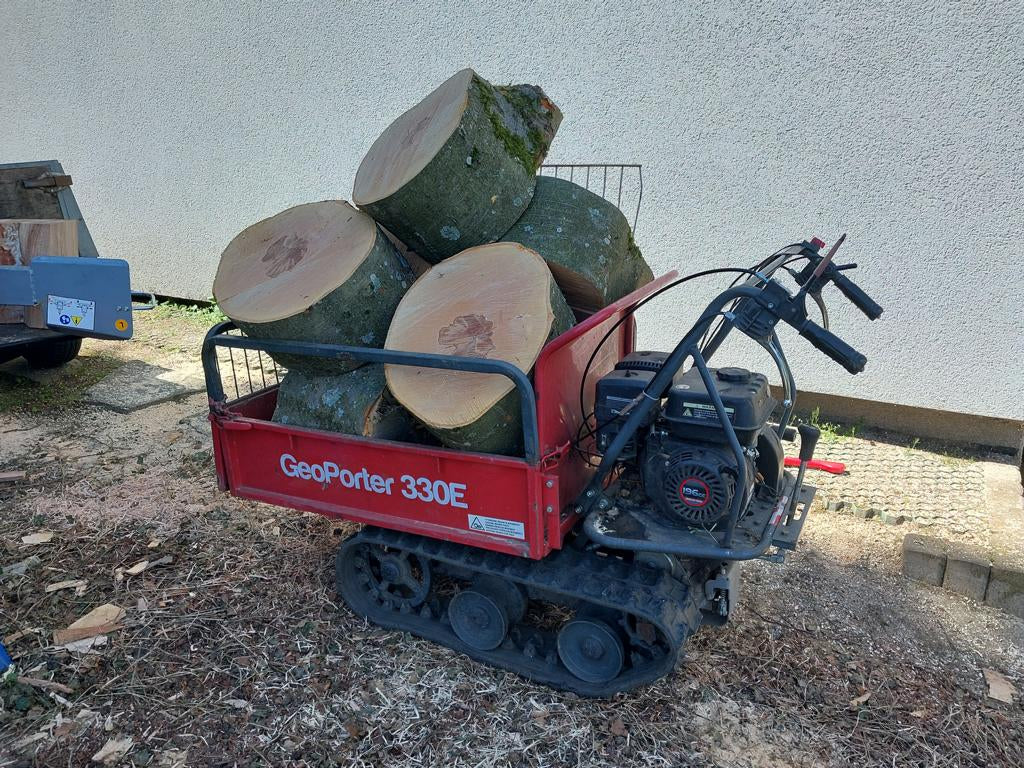 Baumfällung