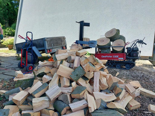 Frisches Brennholz Buche, Eiche, Esche, Birke usw. – regional & nachhaltig jetzt vorbestellen! 🔥