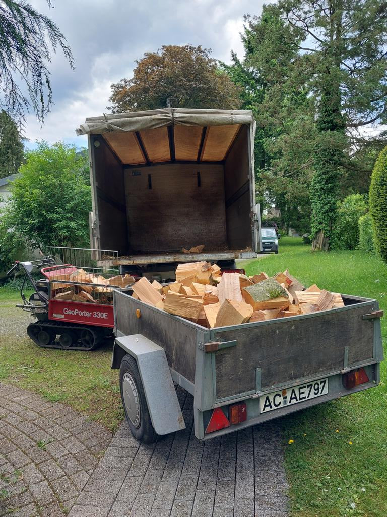 Leña de frondosas partida – Solo recogida