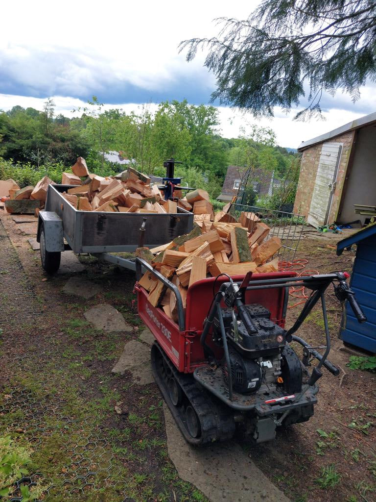 Produktion Brennholz