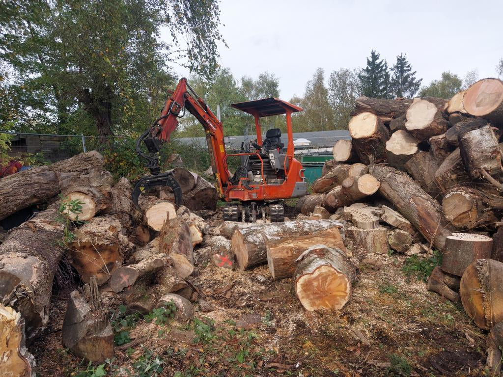 Produktion Brennholz