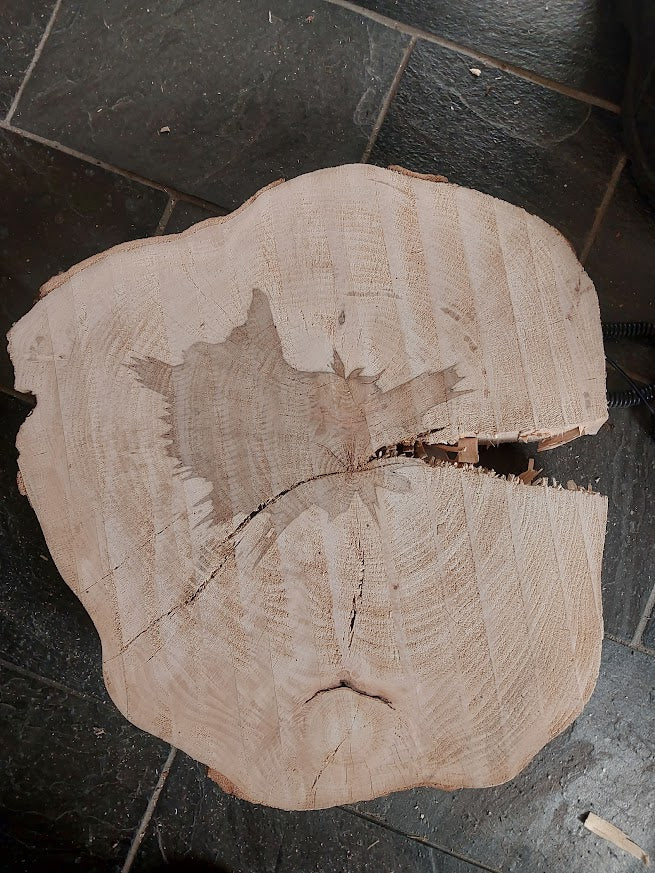 Baumscheibe Buche, Exemplar 294