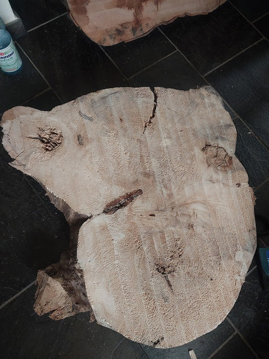 Baumscheibe Pappel, Exemplar 265