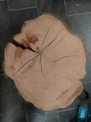 Kirschbaum
