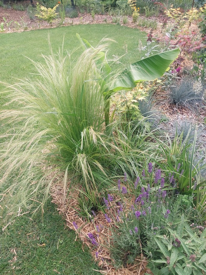 Gartengestaltung