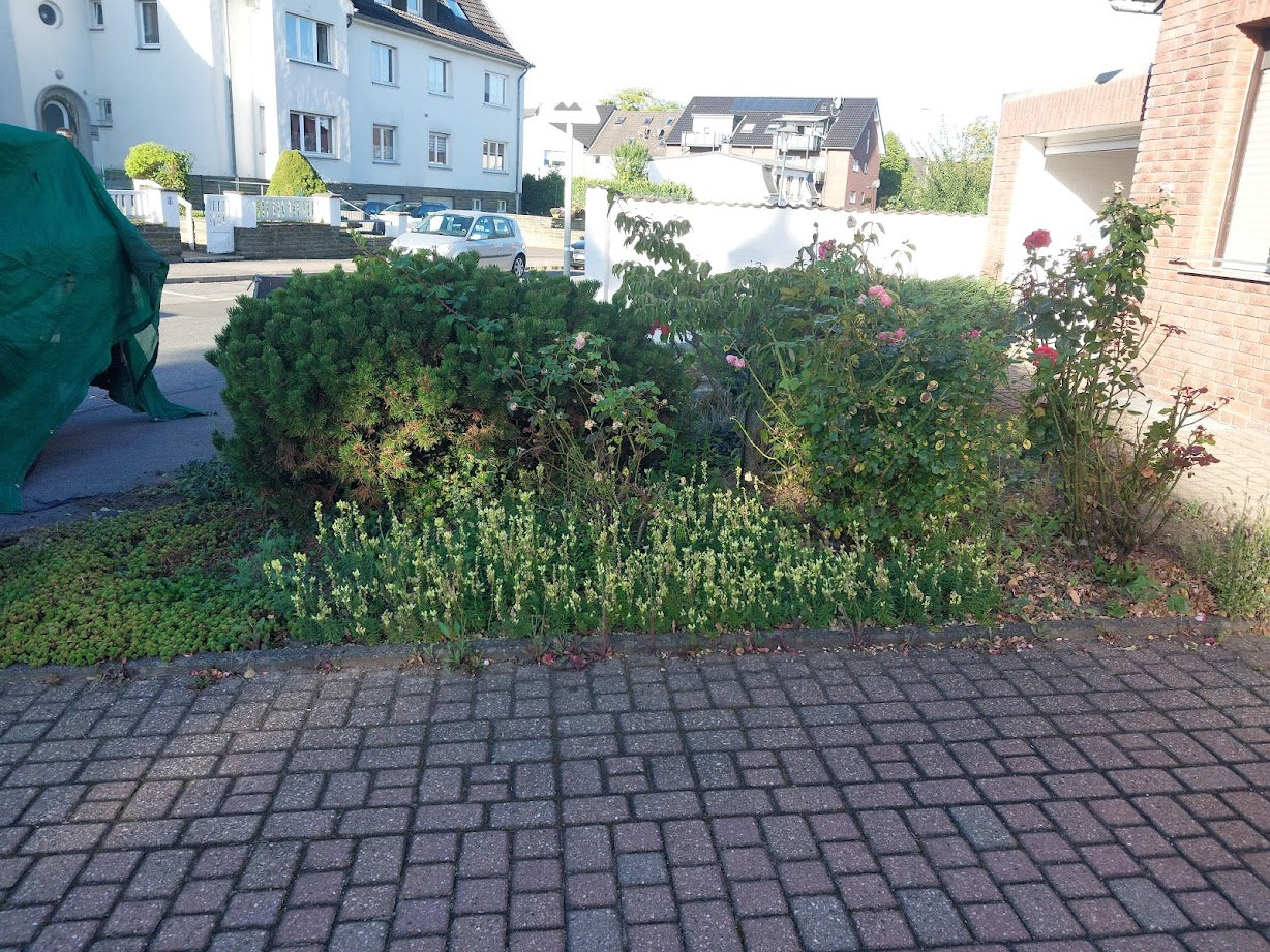 Gartengestaltung