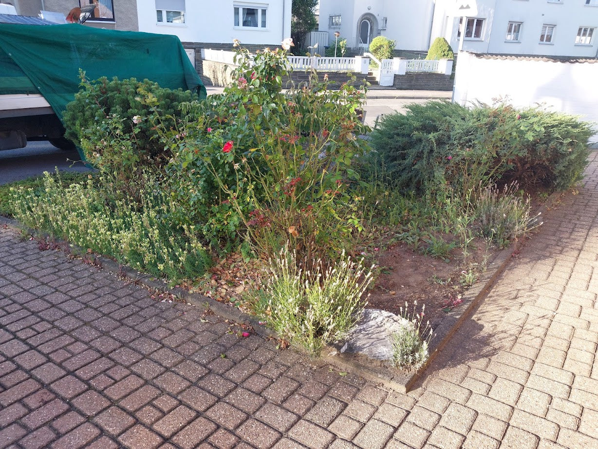 Gartengestaltung