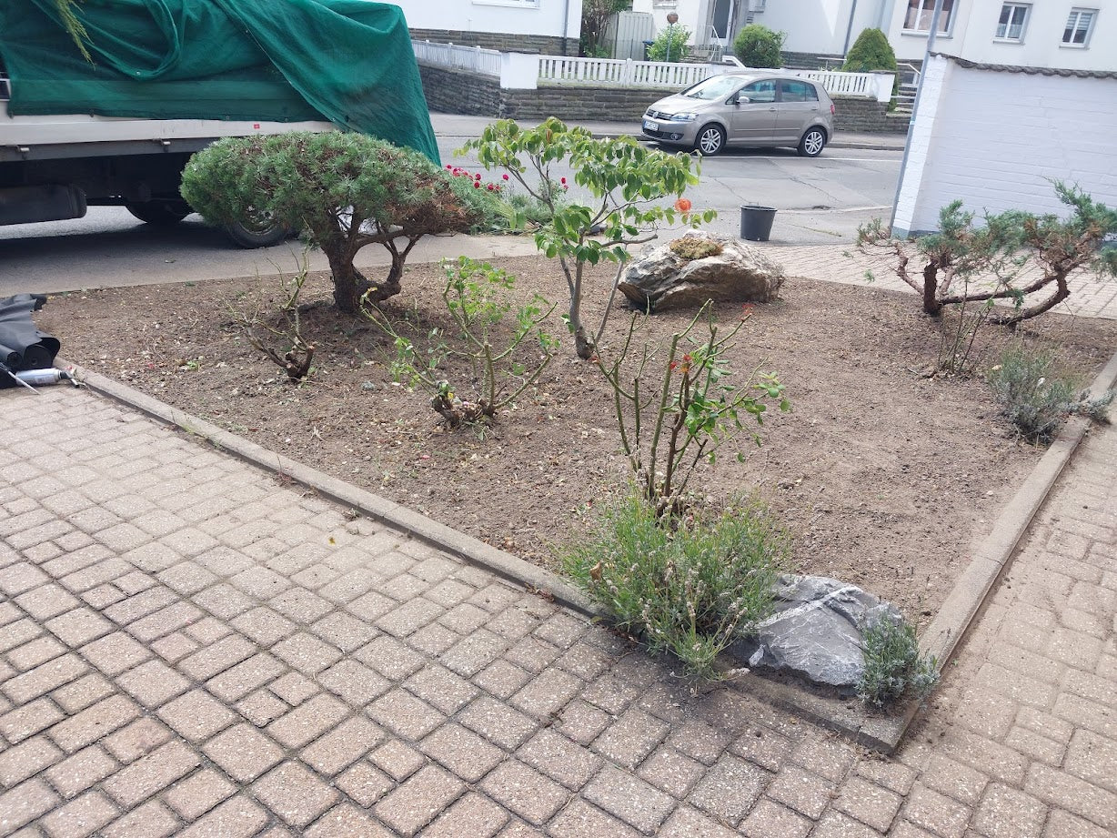 Gartengestaltung