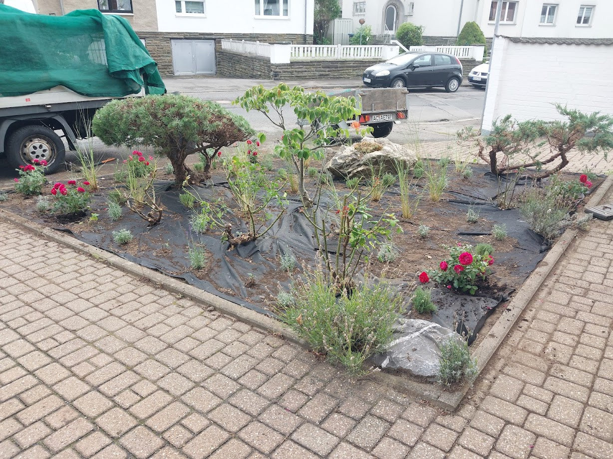 Gartengestaltung