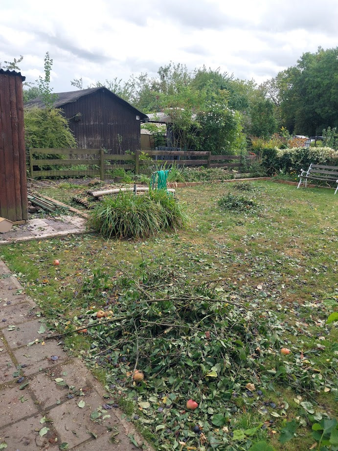 Baumfällung