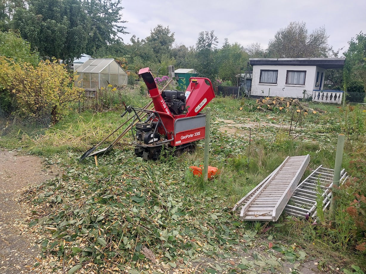 Baumfällung