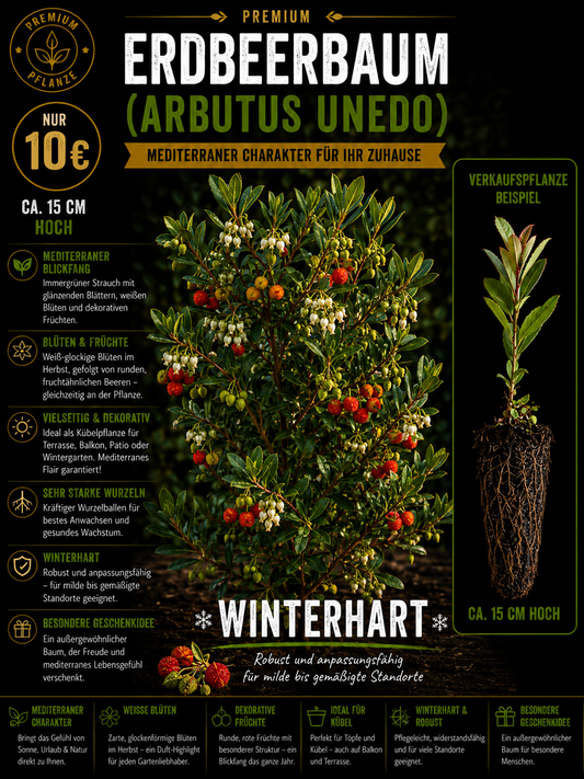 Arbutus unedo Erdbeerbaum