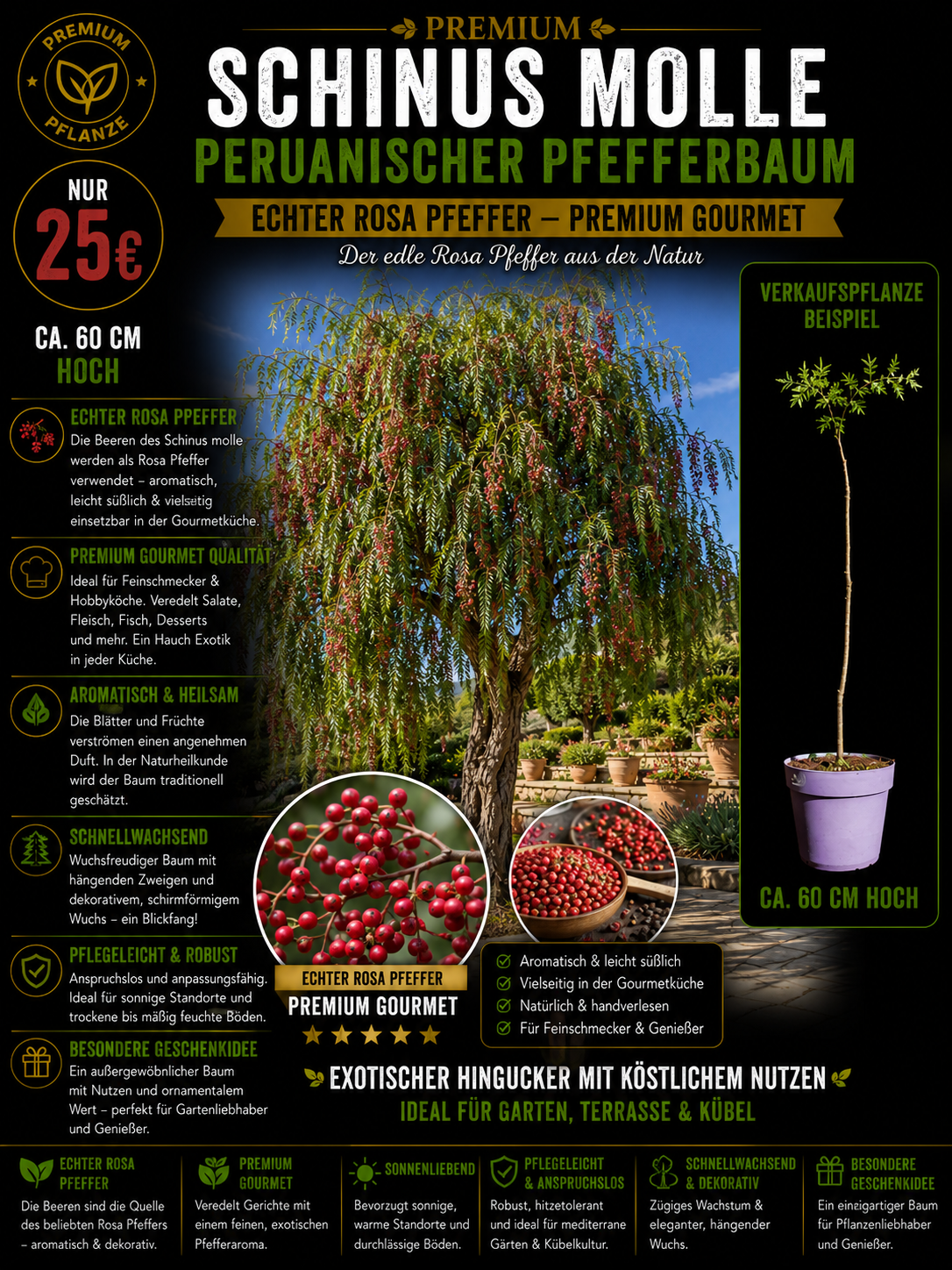 Schinus molle Peruanischer Pfefferbaum