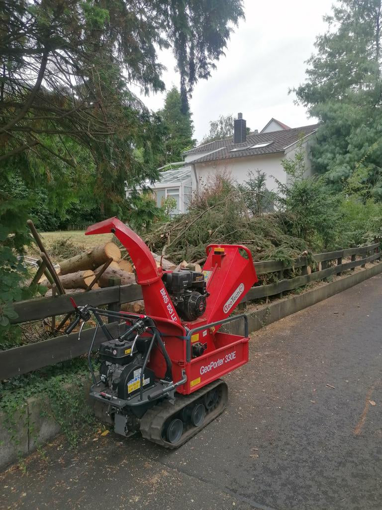 Baumfällung