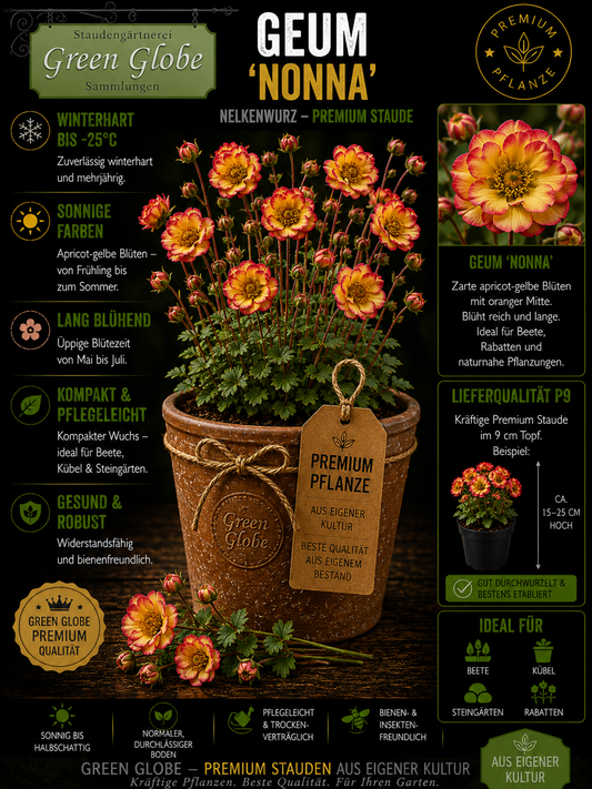 Geum 'Nonna' – Rarität | Winterharte Nelkenwurz | Elegante Blüten | Bienenfreundlich | Premium P9