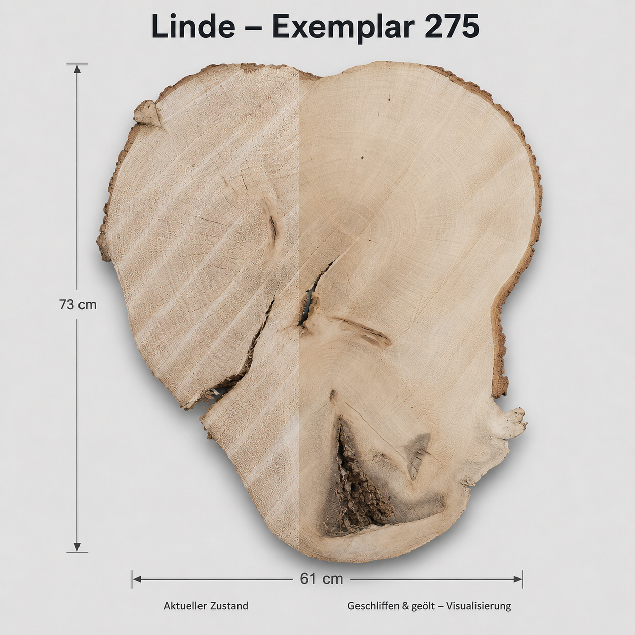 Baumscheibe Linde Exemplar 275 – 73 × 61 cm, roh und geschliffen/geölt visualisiert