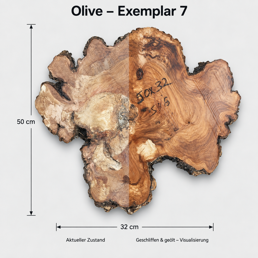 Rodaja de madera de olivo 7