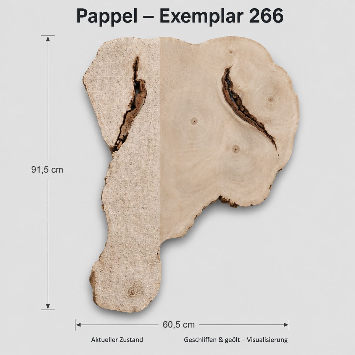 Baumscheibe Pappel Exemplar 266 – 91,5 × 60,5 cm, roh und geschliffen/geölt visualisiert