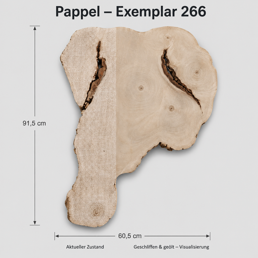 Baumscheibe Pappel Exemplar 266 – 91,5 × 60,5 cm, roh und geschliffen/geölt visualisiert