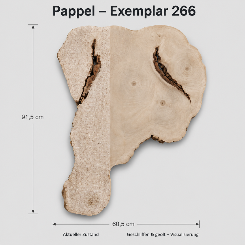 Baumscheibe Pappel, Exemplar 266