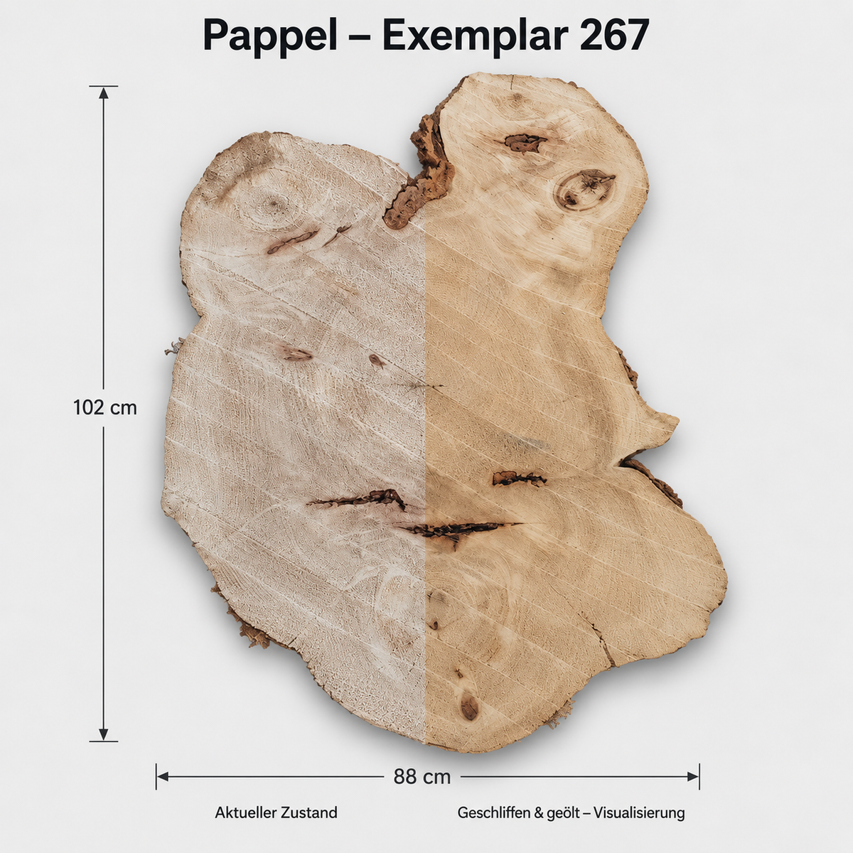 Baumscheibe Pappel Exemplar 267 – 102 × 88 cm, CNC-plangefräst und geschliffen/geölt visualisiert