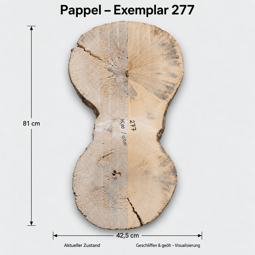 Rodaja de madera de álamo, ejemplar 277