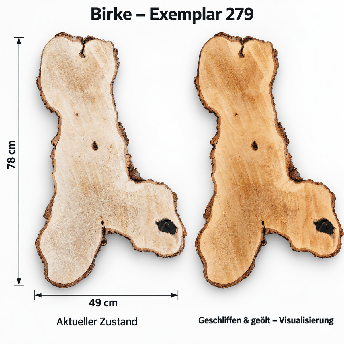 Birke – Exemplar 279, Maße 78 × 49 cm, aktueller Zustand und geschliffen & geölt Visualisierung