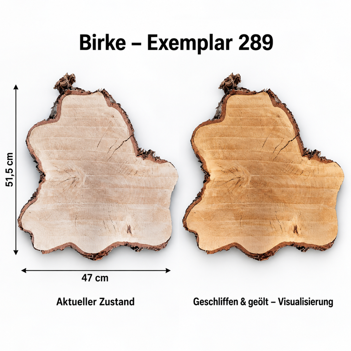 Birke – Exemplar 289, Maße 51,5 × 47 cm, aktueller Zustand und geschliffen & geölt Visualisierung