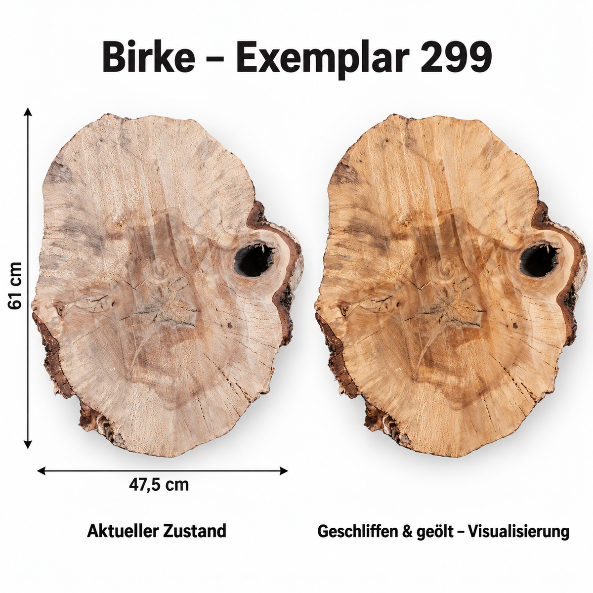 Birke – Exemplar 299, Maße 61 × 47,5 cm, aktueller Zustand und geschliffen & geölt Visualisierung