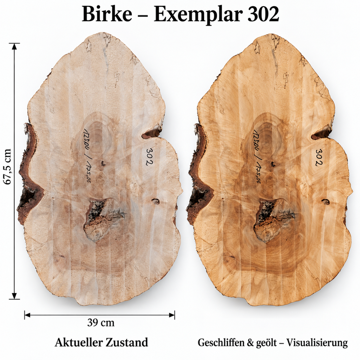Birke – Exemplar 302, Maße 67,5 × 39 cm, aktueller Zustand und geschliffen & geölt Visualisierung