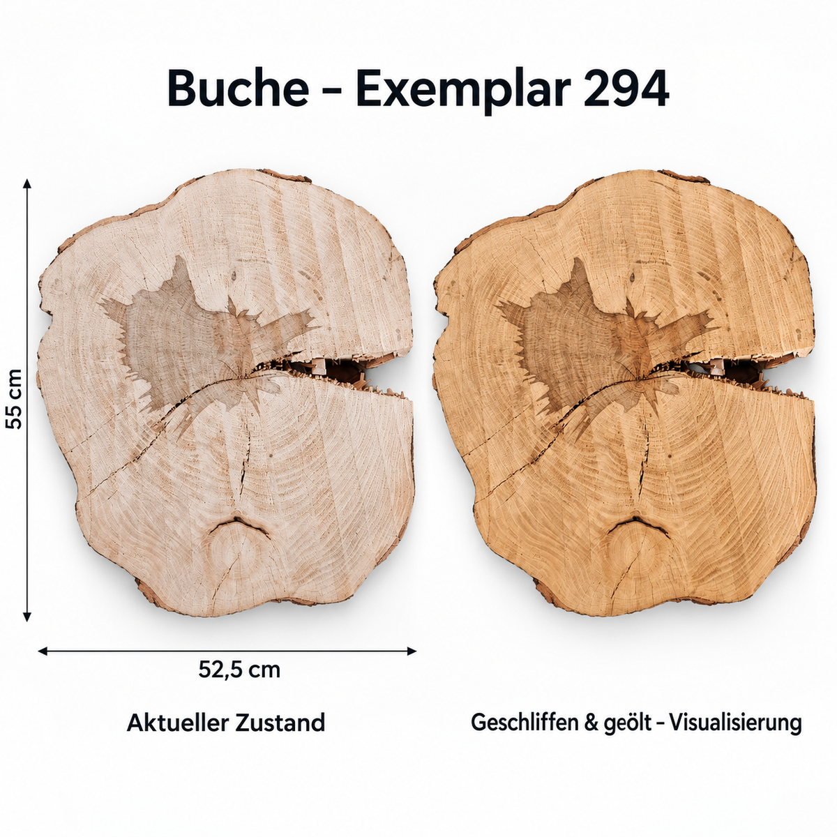 Buche – Exemplar 294, Maße 55 × 52,5 cm, aktueller Zustand und geschliffen & geölt Visualisierung