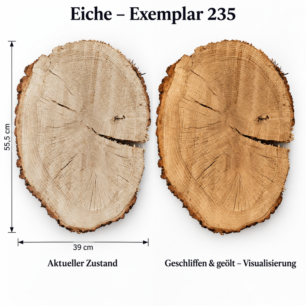 Eiche – Exemplar 235, Maße 55,5 × 39 cm, aktueller Zustand und geschliffen & geölt Visualisierung
