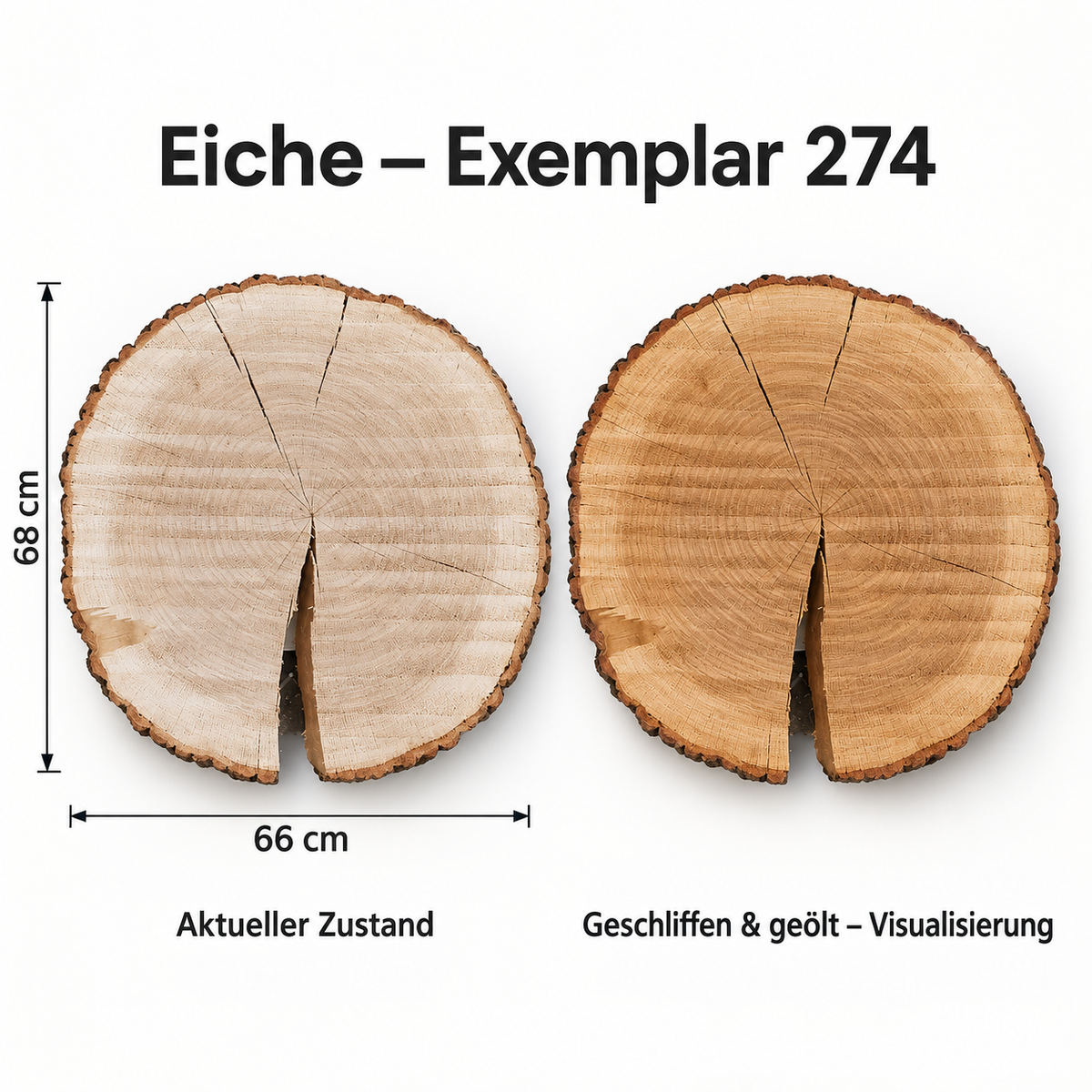 Eiche – Exemplar 274, Maße 68 × 66 cm, aktueller Zustand und geschliffen & geölt Visualisierung